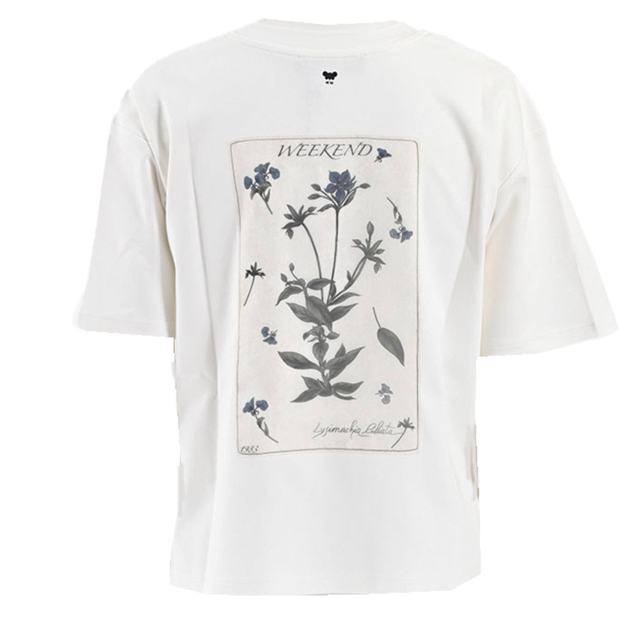 【62%OFF】 ウィークエンド マックスマーラ WEEKEND MAXMARA Tシャツ LECCO 5941052600 001 ホワイト 2025SS レディース 【再入荷なし 在庫限り】