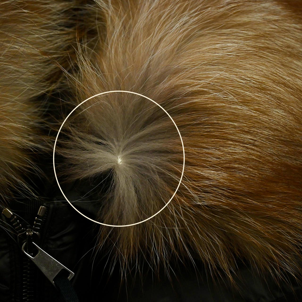 モンクレール MONCLER ダウンコート BOEDIC 999 ワケアリ ブラック メンズ レディース