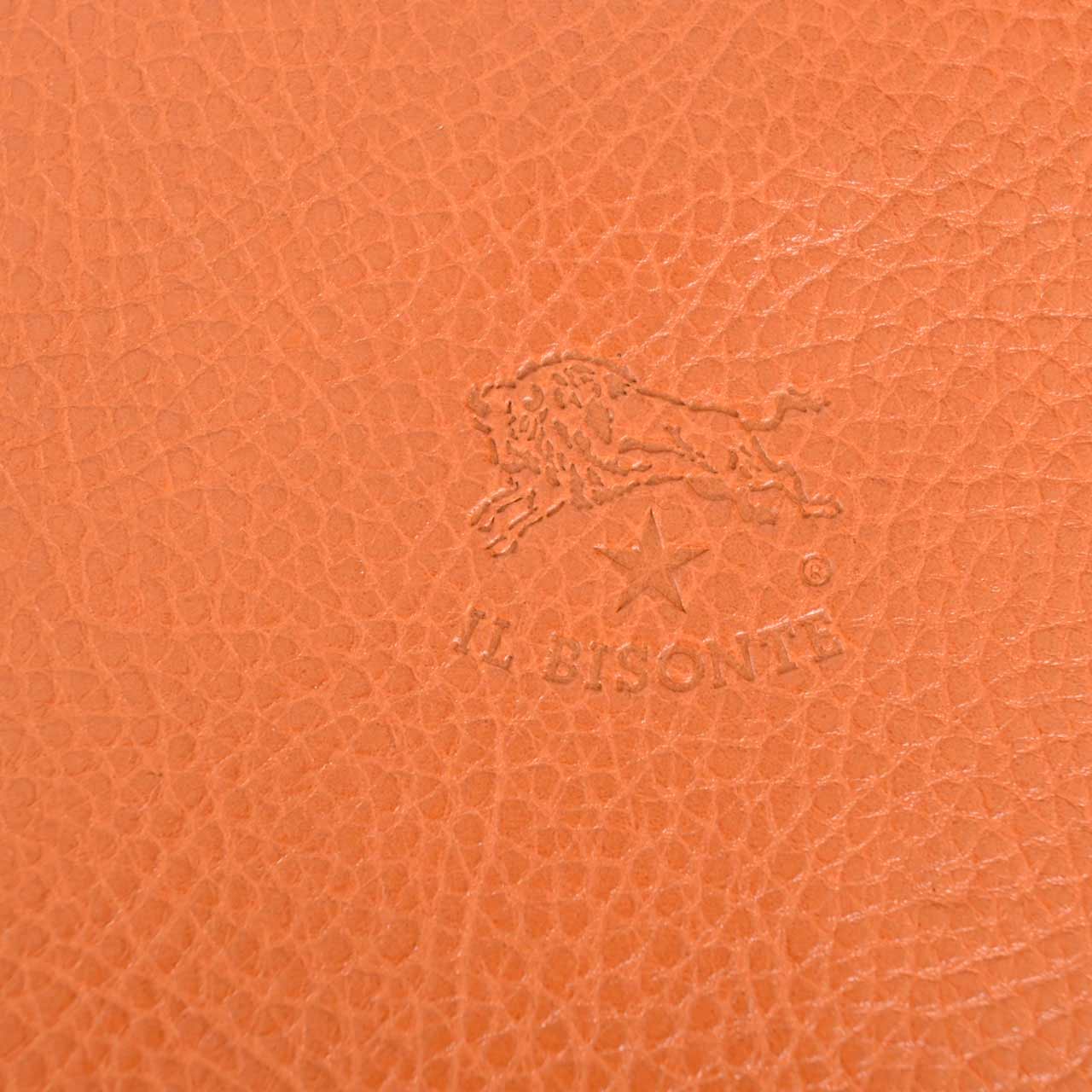 イルビゾンテ IL BISONTE ショルダーバッグ BCR297 PV0001 115B ワケアリ ブラウン メンズ レディース ユニセックス 【新品 訳あり 返品交換不可】